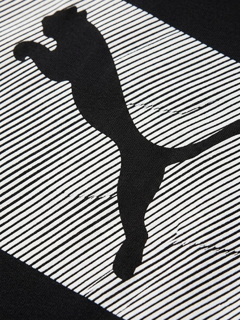 Puma Men's Graphic Stripe Performance Cotton T-Shirt